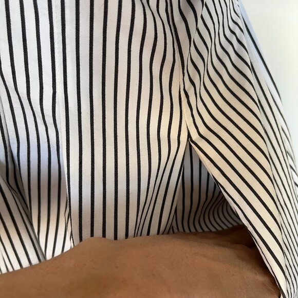 Anthropology The Tobie Button-Front Pleated Shirt Dress by Exquise - Picture 10 of 14